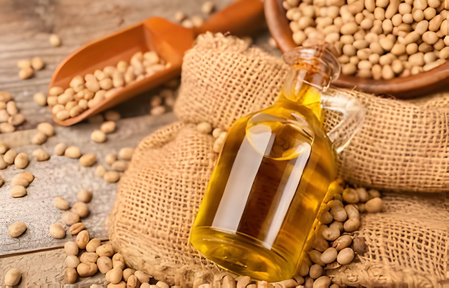 Soybean Oil in Your Diet: Pros, Cons, and Recipes