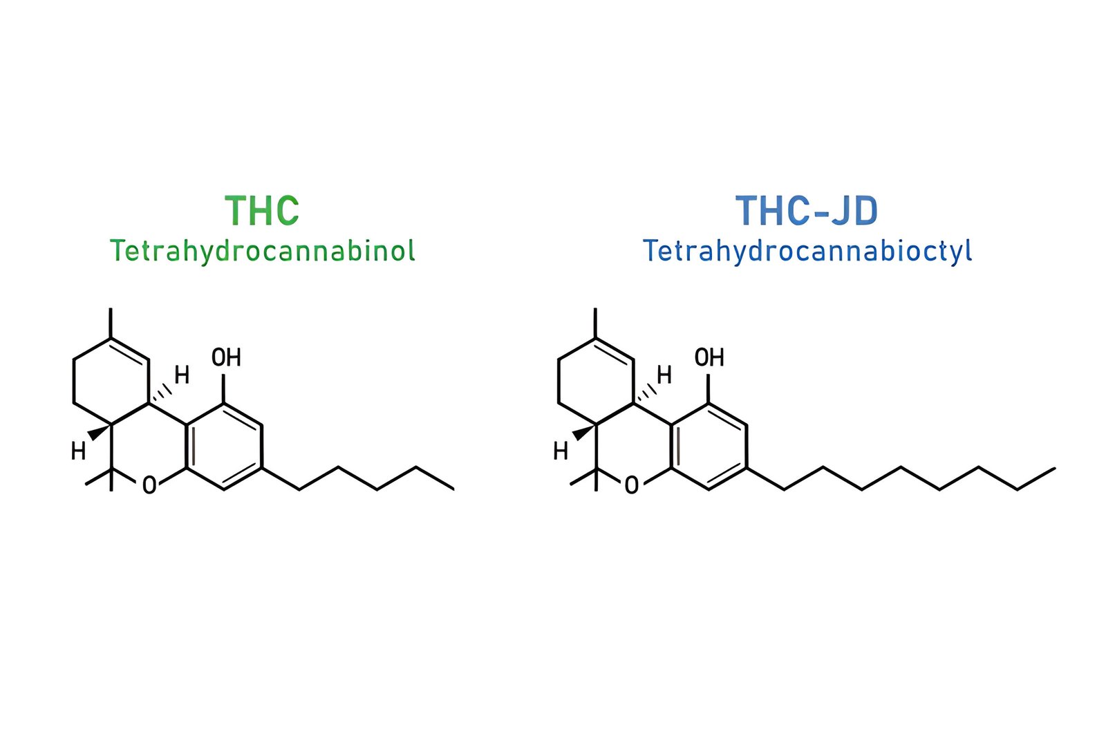 CBN vs CBD: Benefits, Uses, and Side Effects Explained