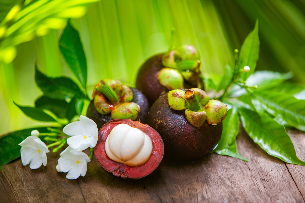 Discover the Health Benefits of Mangosteen and How to Enjoy It