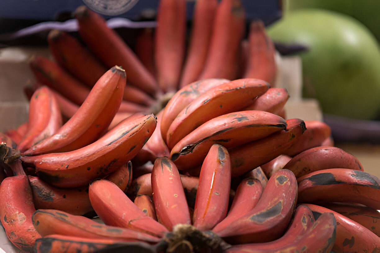 Red Banana: Nutritional Facts and Health Benefits