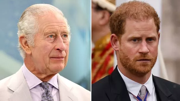 Why King Charles is Reportedly Furious With Prince Harry